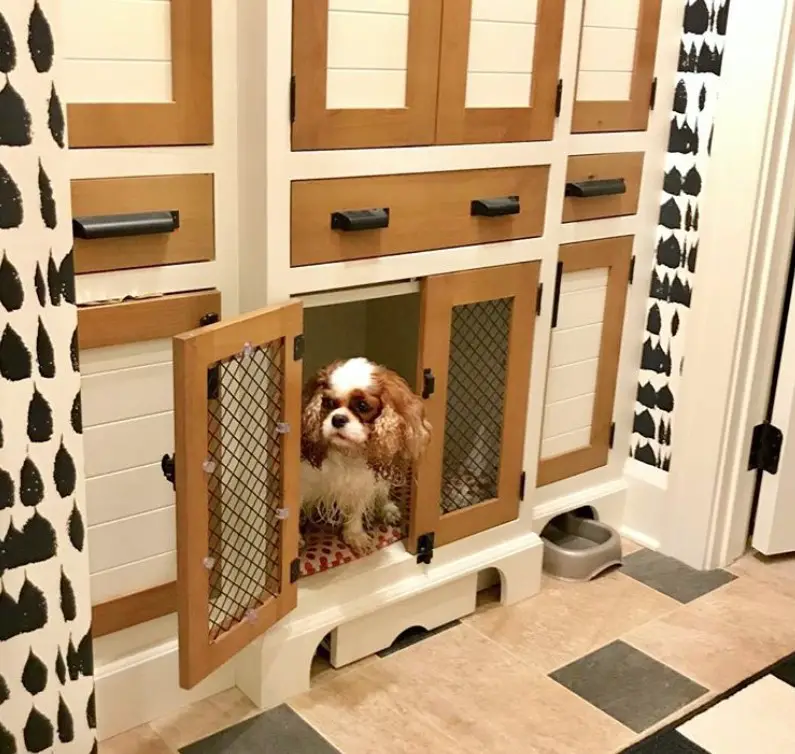 mini dog room cabinet