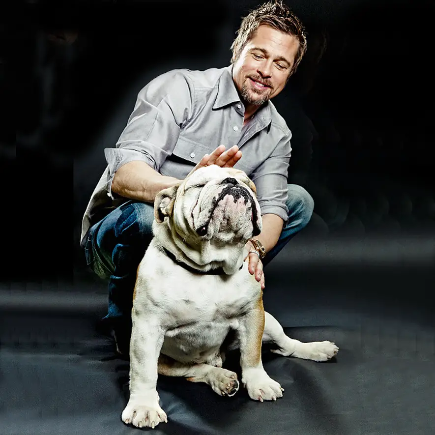 Brad Pitt on the floor petting his English Bulldog
