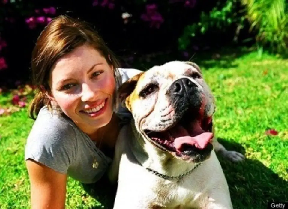 Jessica Biel sitting on the green grass with her smiling English Bulldog