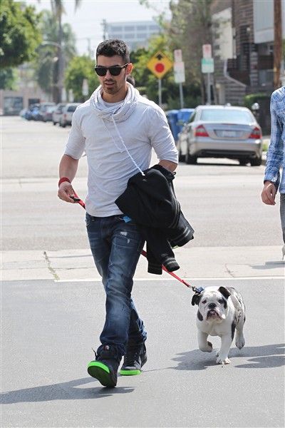 Joe Jonas walking in the street with his English Bulldog