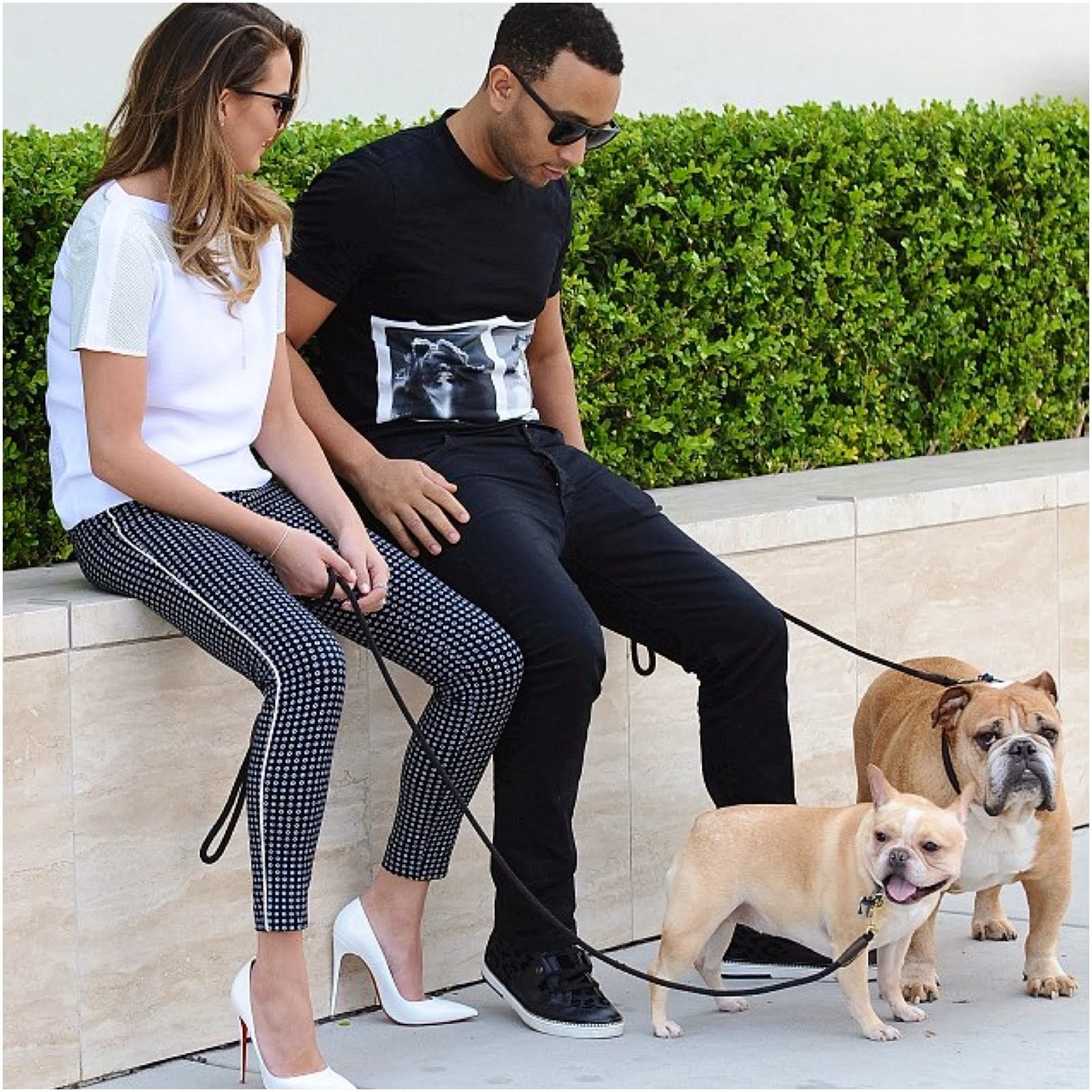 John Legend & Christy Teigen sitting at the park with their English Bulldog and french bulldog