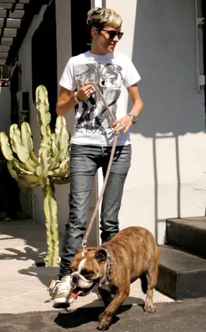 Samantha Ronson with her English Bulldog on leash
