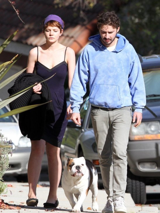 Shia Labeouf And Carey Mulligan in the street walking with their English Bulldog off leash