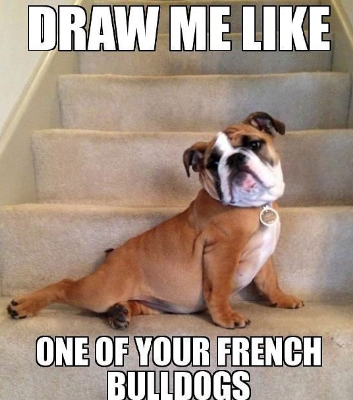 English Bulldog sitting like mermaid on the stairs photo with a text 