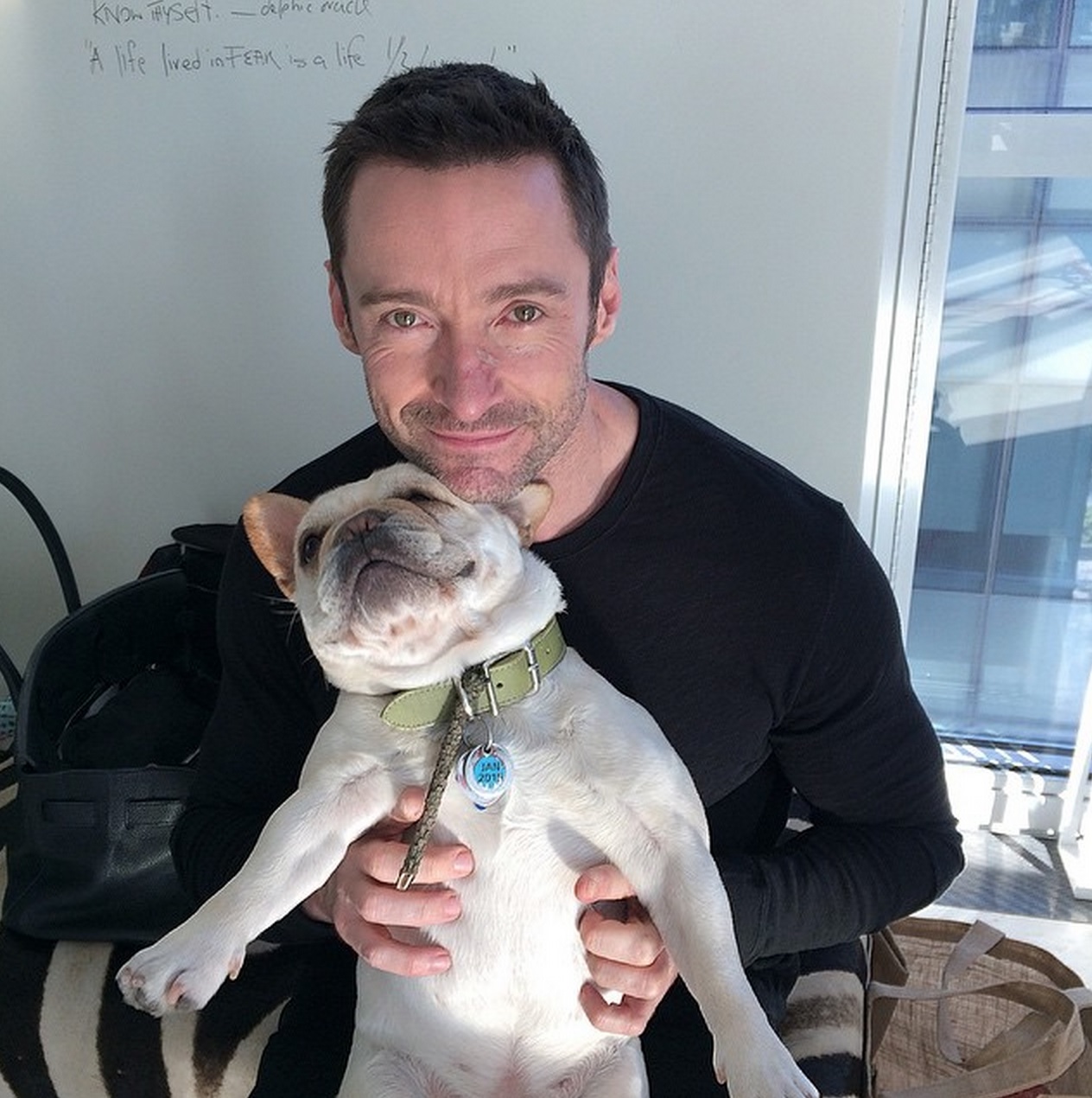 Hugh Jackman sitting on the chair while holding his French Bulldog in his lap