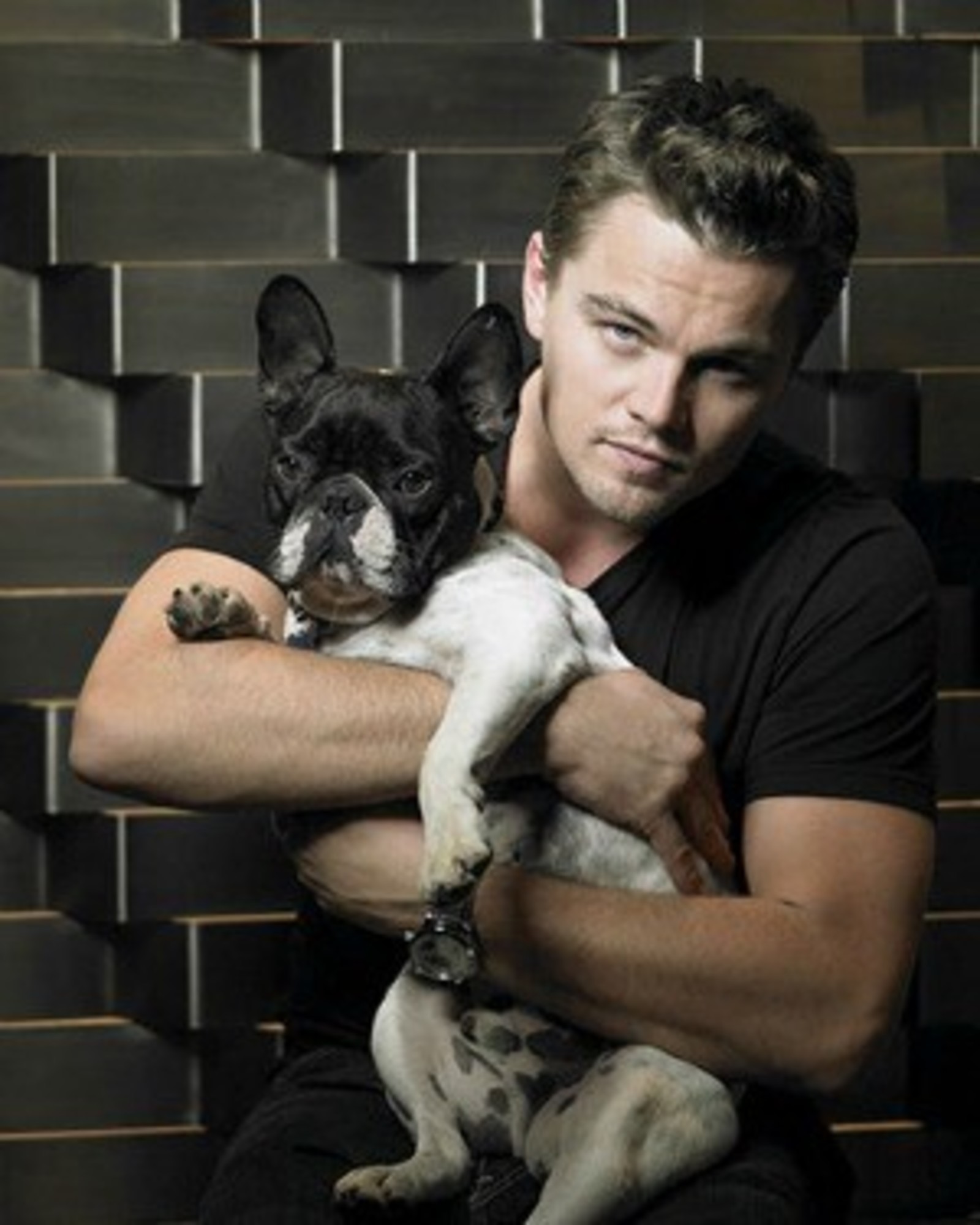 Leonardo DiCaprio sitting on the chair while holding his French Bulldog with is both arms