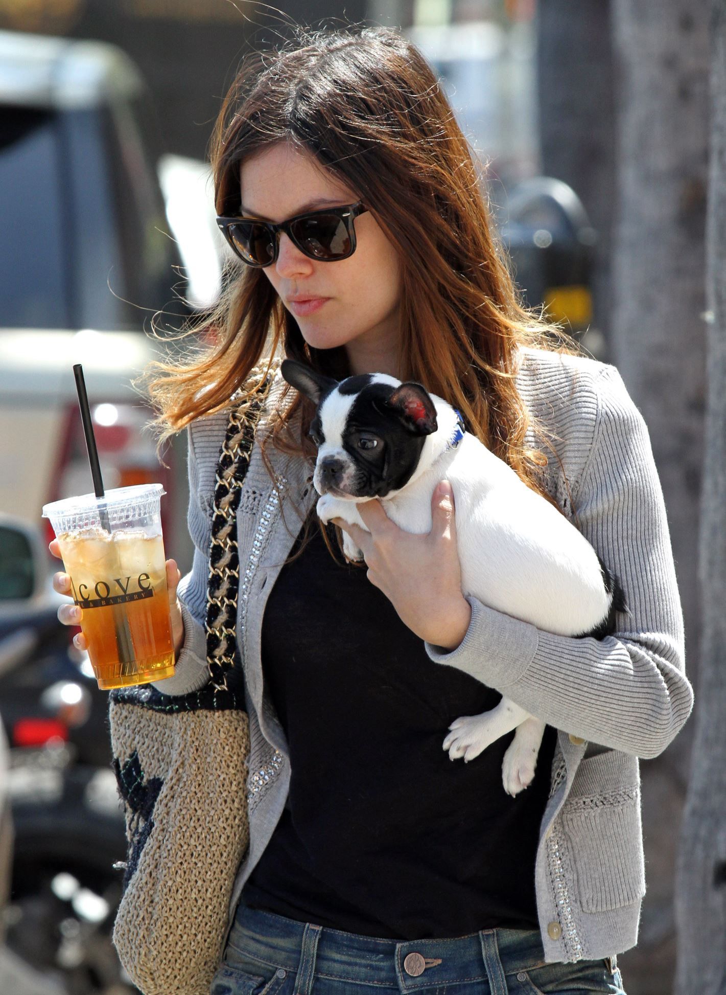 Rachel Bilson walking in the street while holding a coffee and her French Bulldog puppy