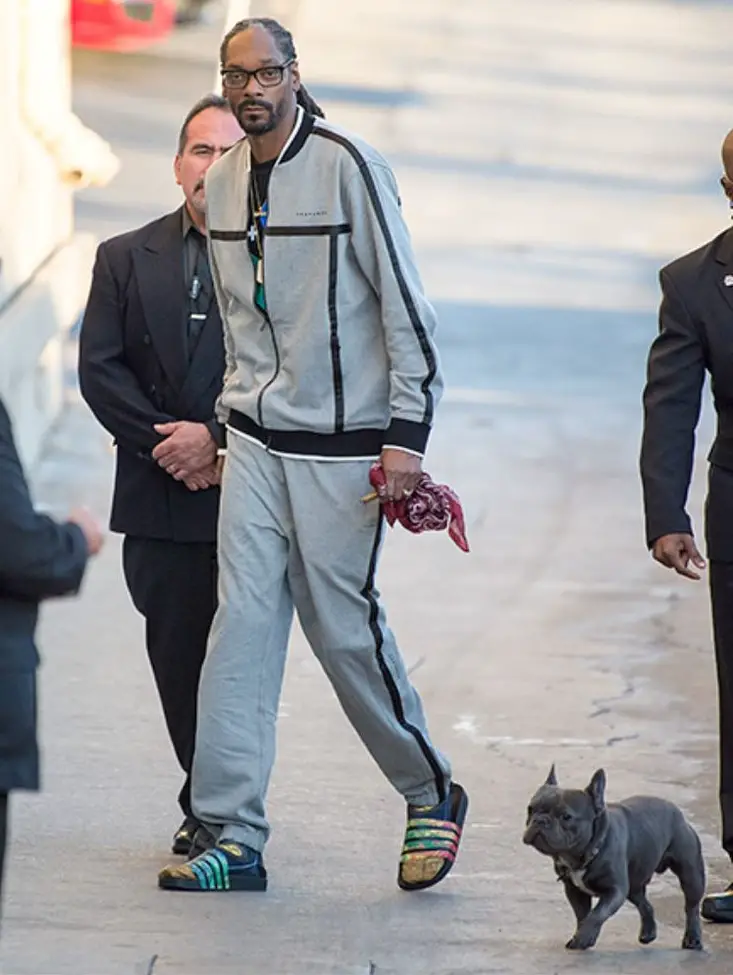 Snoop Dogg walking in the street with his French Bulldog off-leash