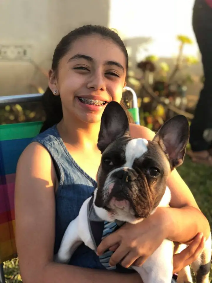 A young girl sitting on the chair with a French Bulldog named Bailey on her lap