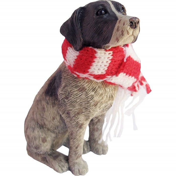 A German Shorthaired Pointer puppy wearing a scarf Christmas Ornament