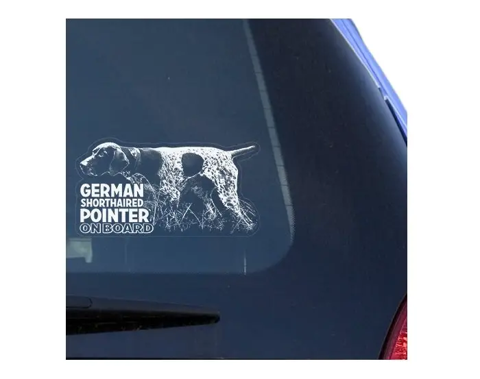 A German Shorthaired Pointer Clear Vinyl Decal Sticker at the back of the car