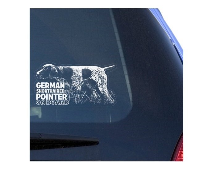A German Shorthaired Pointer Clear Vinyl Decal Sticker at the back of the car