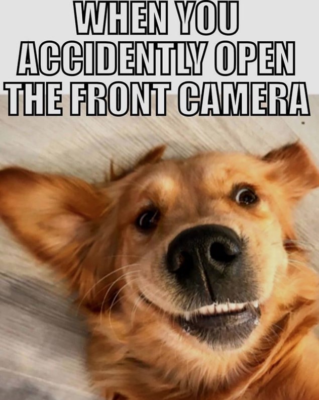 Golden Retriever lying on the floor with its goofy smile photo with text - When you accidentally open the front camera