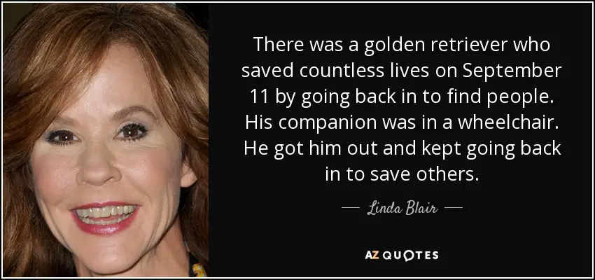 a photo of a woman smiling next to a quote - There was a Golden Retriever who saved countless lives on september 11 by going back in to find people. His companion was in a wheelchair. He got him and kept going back in to save others... Linda Blair