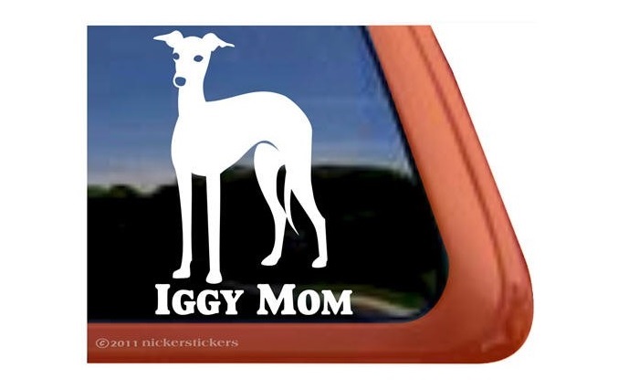 a decal sticker of a Greyhound and words - Iggy Mom