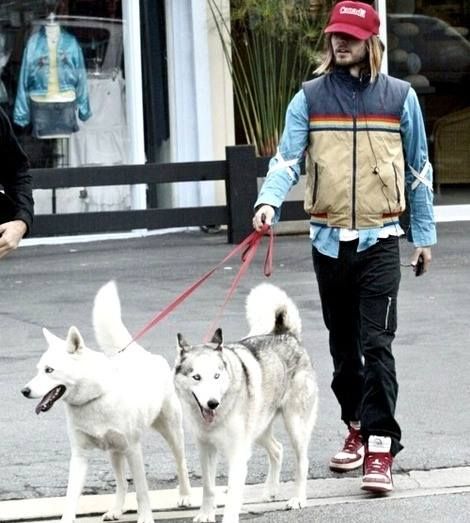 Jared Leto walking his two Siberian Huskies