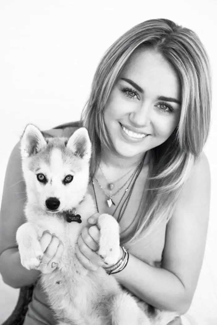 black and white photo of Miley Cyrus with her Siberian Husky puppy