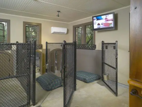 indoor dog kennel ideas