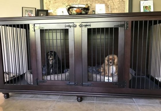 indoor furniture dog kennel ideas with dogs inside