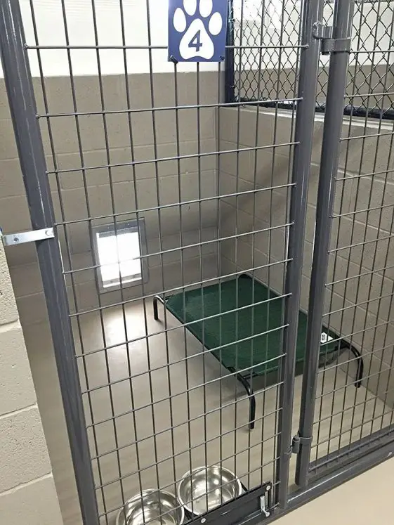 indoor dog kennel idea with a dog's bed inside