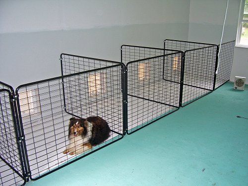 dog kennel for indoors with a dog inside
