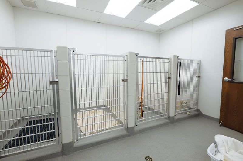 Indoor Dog Playpen