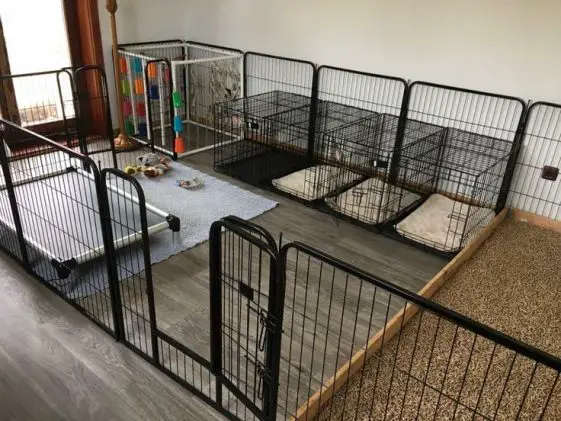indoor dog kennel ideas