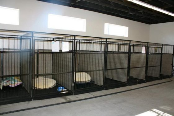 indoor dog kennel ideas