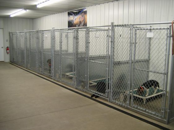 indoor dog kennel ideas