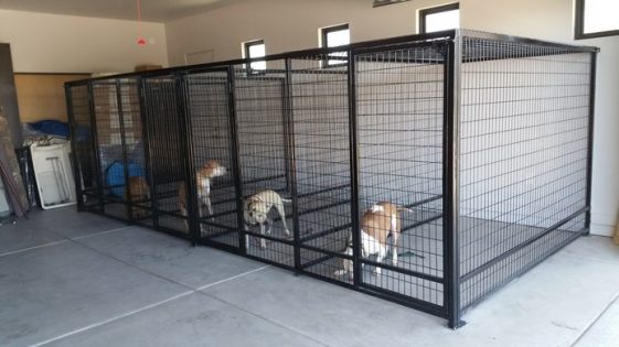 dog kennel ideas for indoors with dog inside