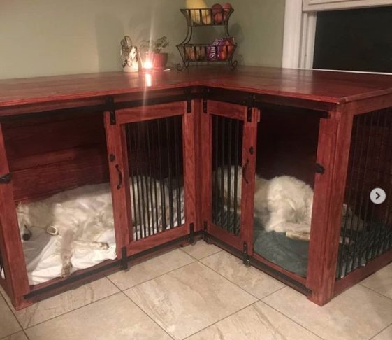 indoor custom dog corner kennel