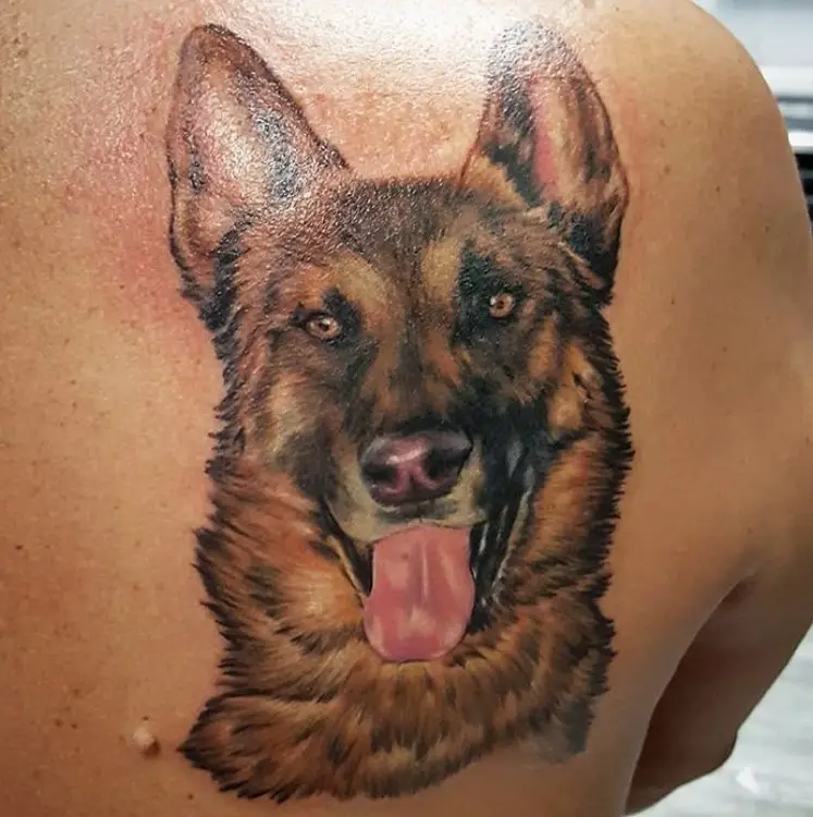 face of a German Shepherd dog tattoo on the back