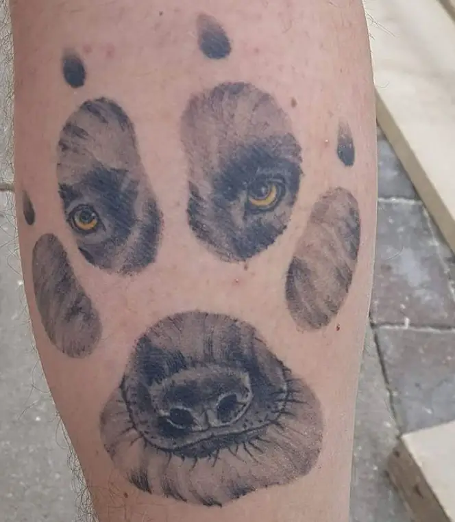 face of a German Shepherd dog in a paw print tattoo on the leg