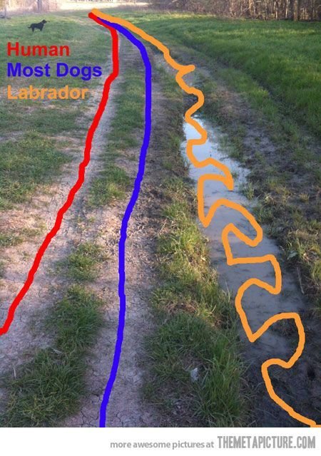 hallways with red and blue straight line, and curvy orange line with a text