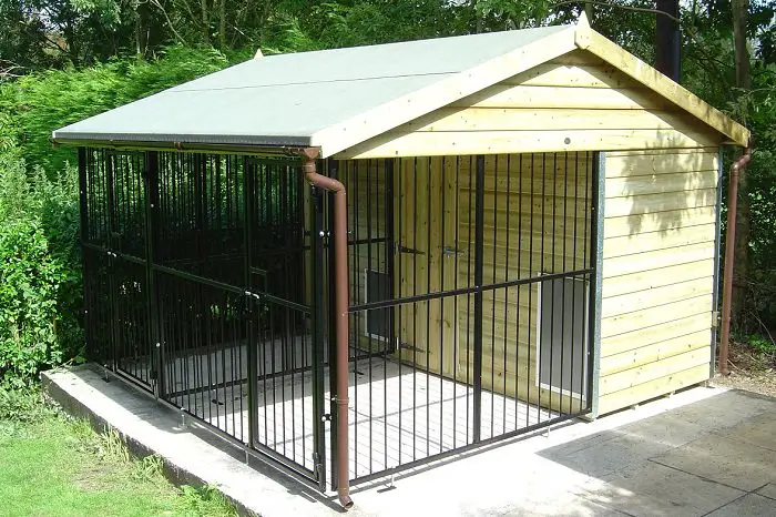 medium sized dog kennel house outdoors