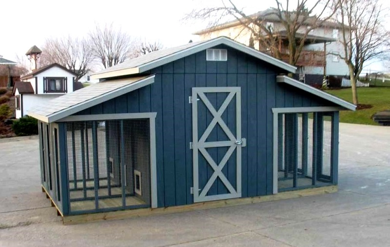 a modern blue and white dog kennel house outdoors
