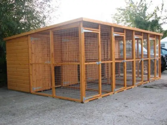 dog kennel outdoors built with wood and wire mesh