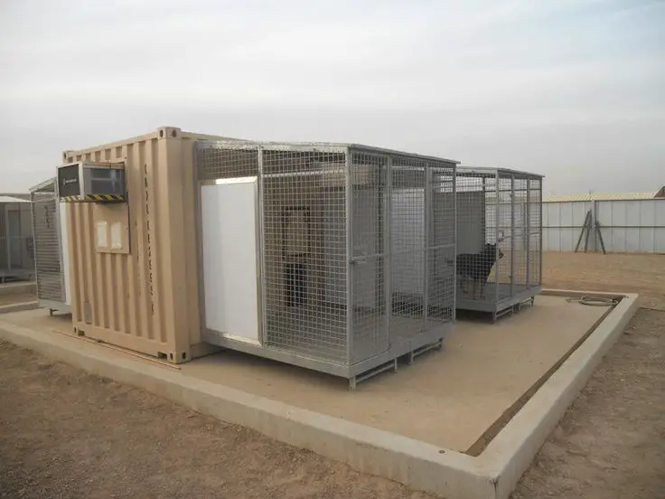 modern dog kennel for outdoors