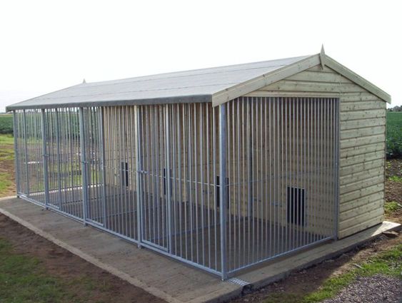 large dog kennel outdoors for four dogs