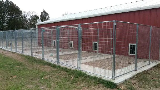 large dog kennel house outdoors