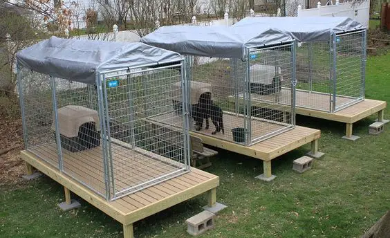small individual dog kennel house outdoors