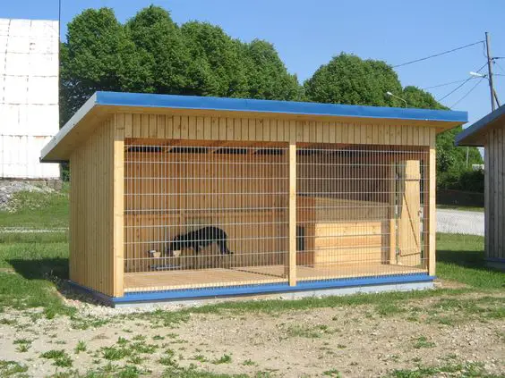 small wooden dog kennel outdoors