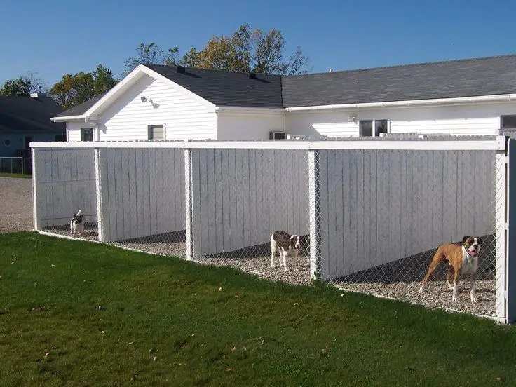 modern large dog kennel outdoors with dog behind the wire mesh fence