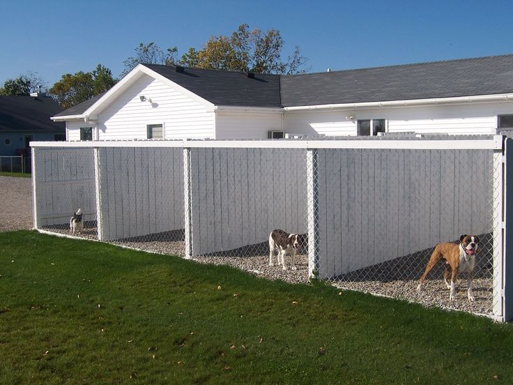 modern large dog kennel outdoors with dog behind the wire mesh fence