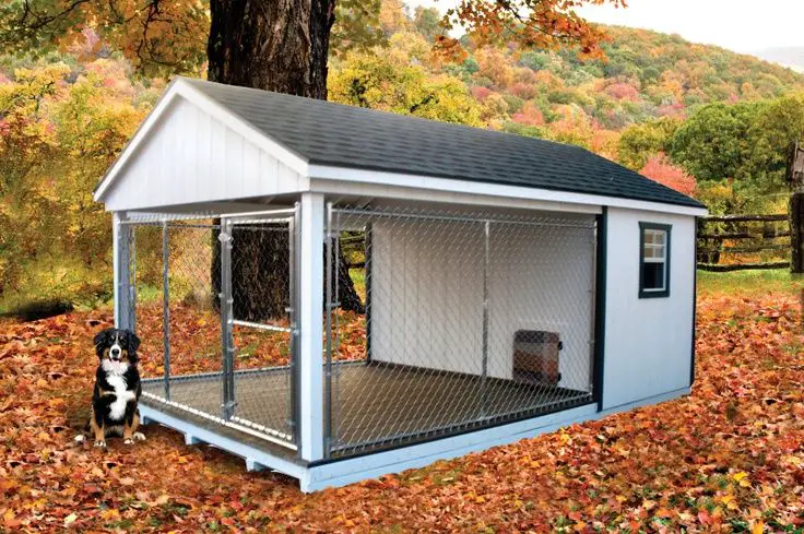 large dog outdoor kennel house with a dog outside during autum.
