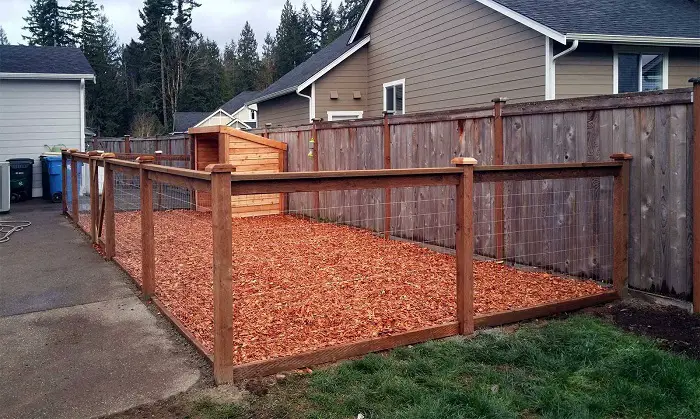 outdoor dog kennel idea with a wood fence and wire mesh