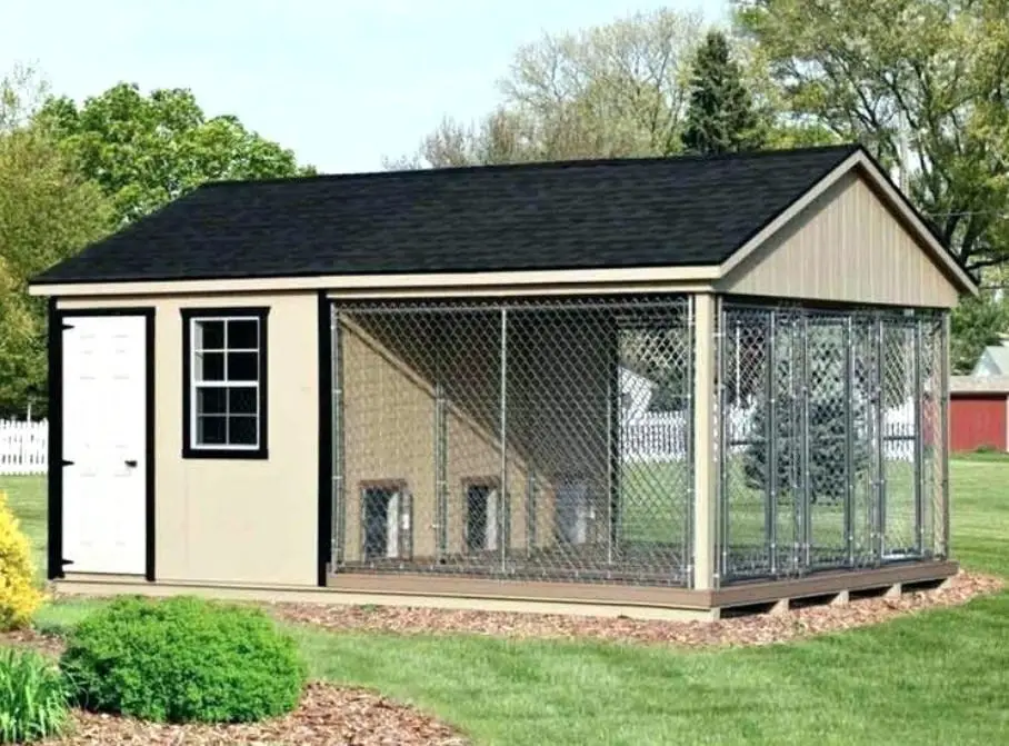 dog kennel house outdoors in the backyard