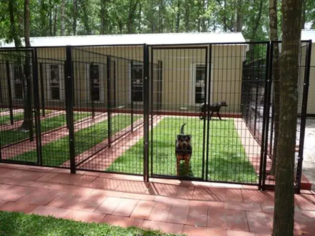 dog kennel house outdoors with a small yard