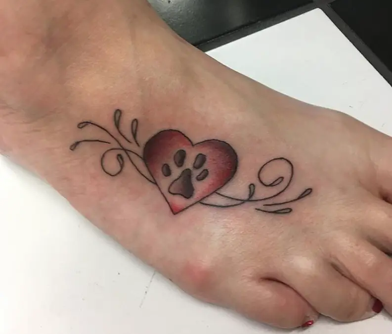Paw Print inside a red heart Tattoo on the feet