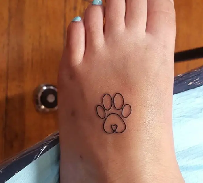outline of paw print on the feet